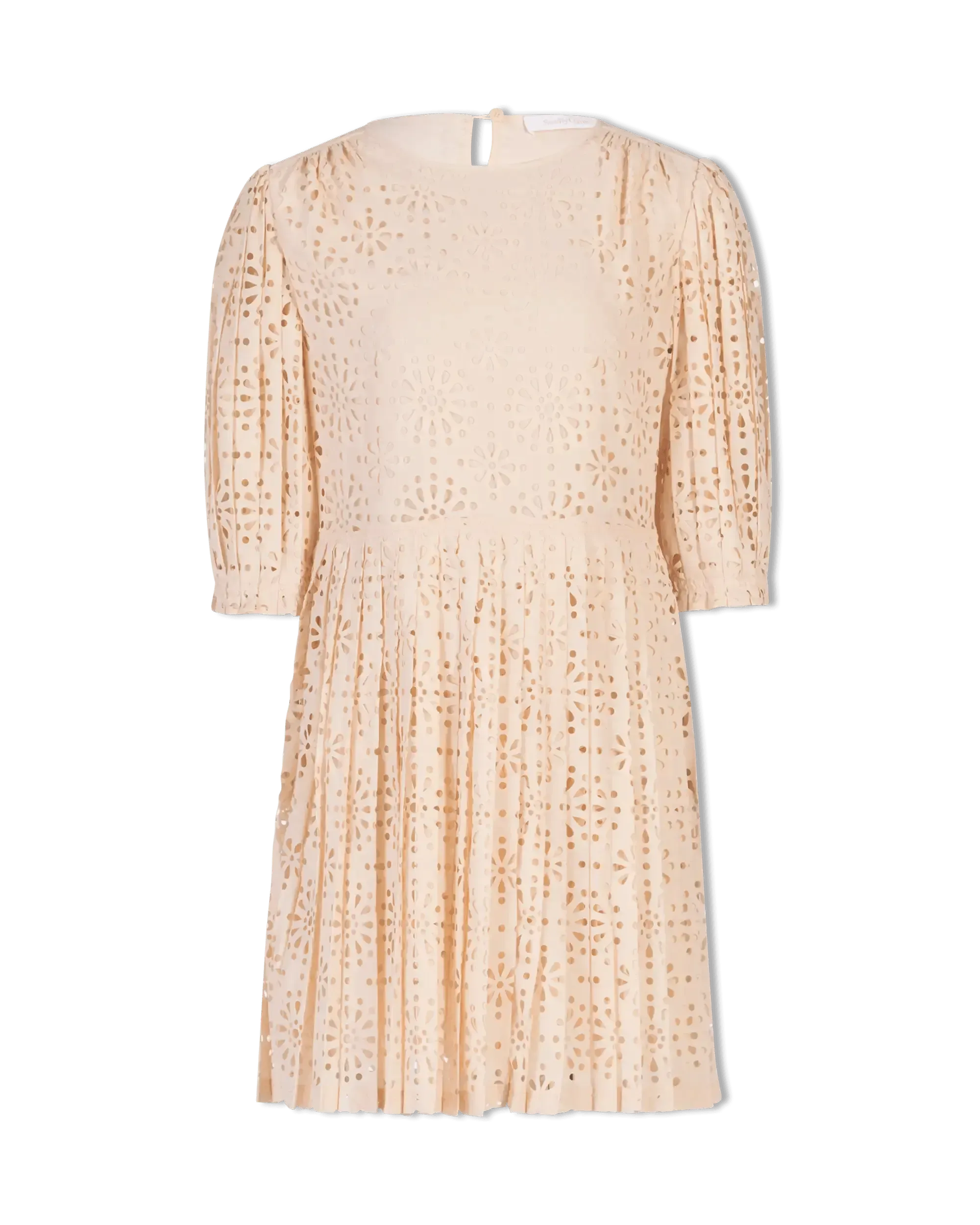 Perforated Lace Mini Dress