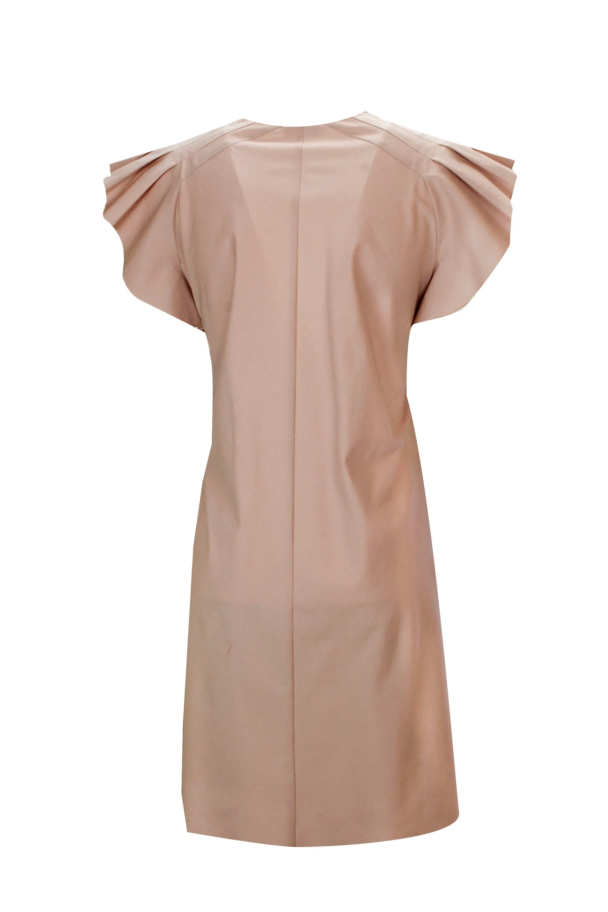 REDValentino V-Neck Ruffled Sleeved Dress