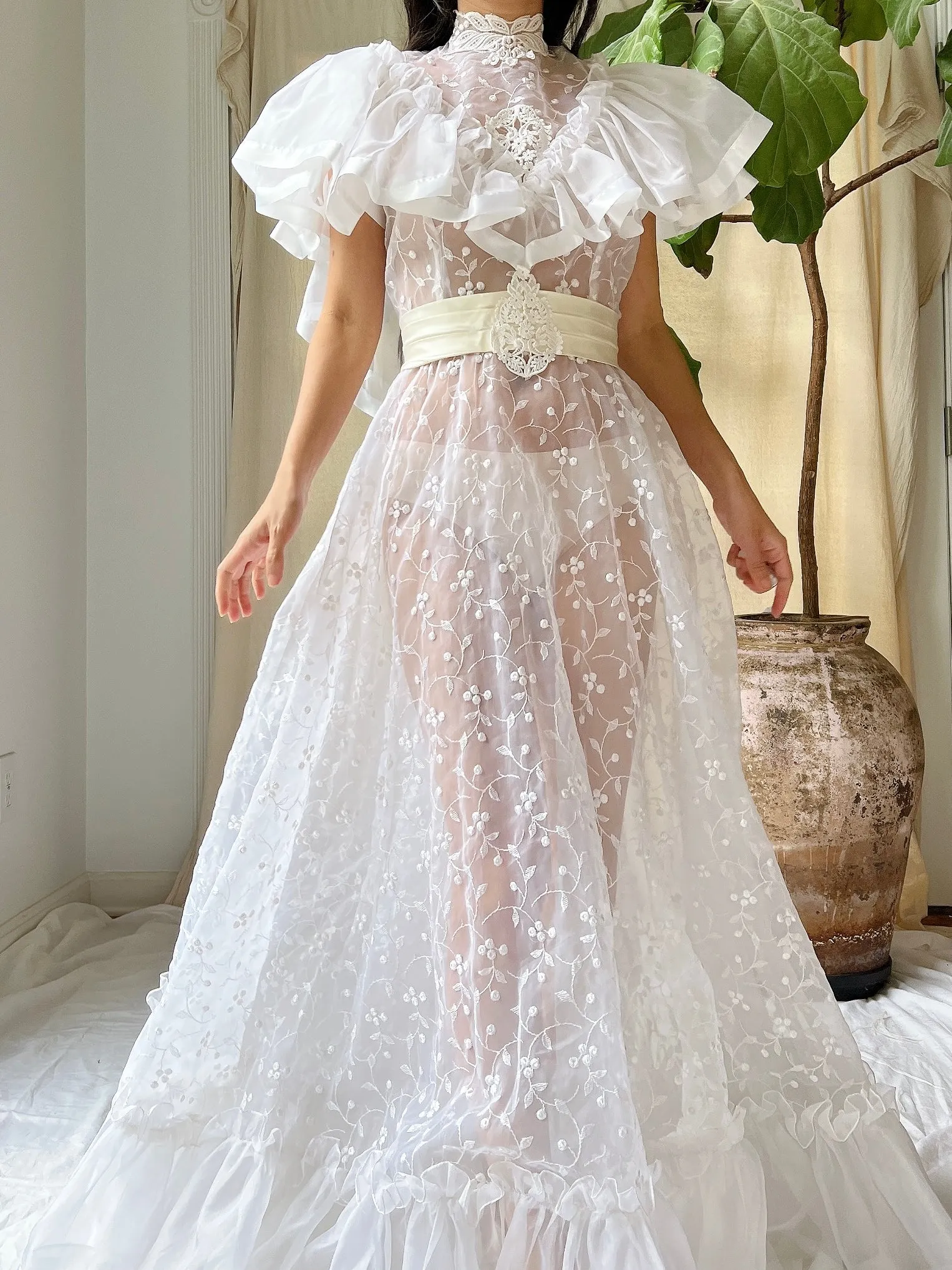 Vintage Ruffle Sheer Embroidered Dress - S
