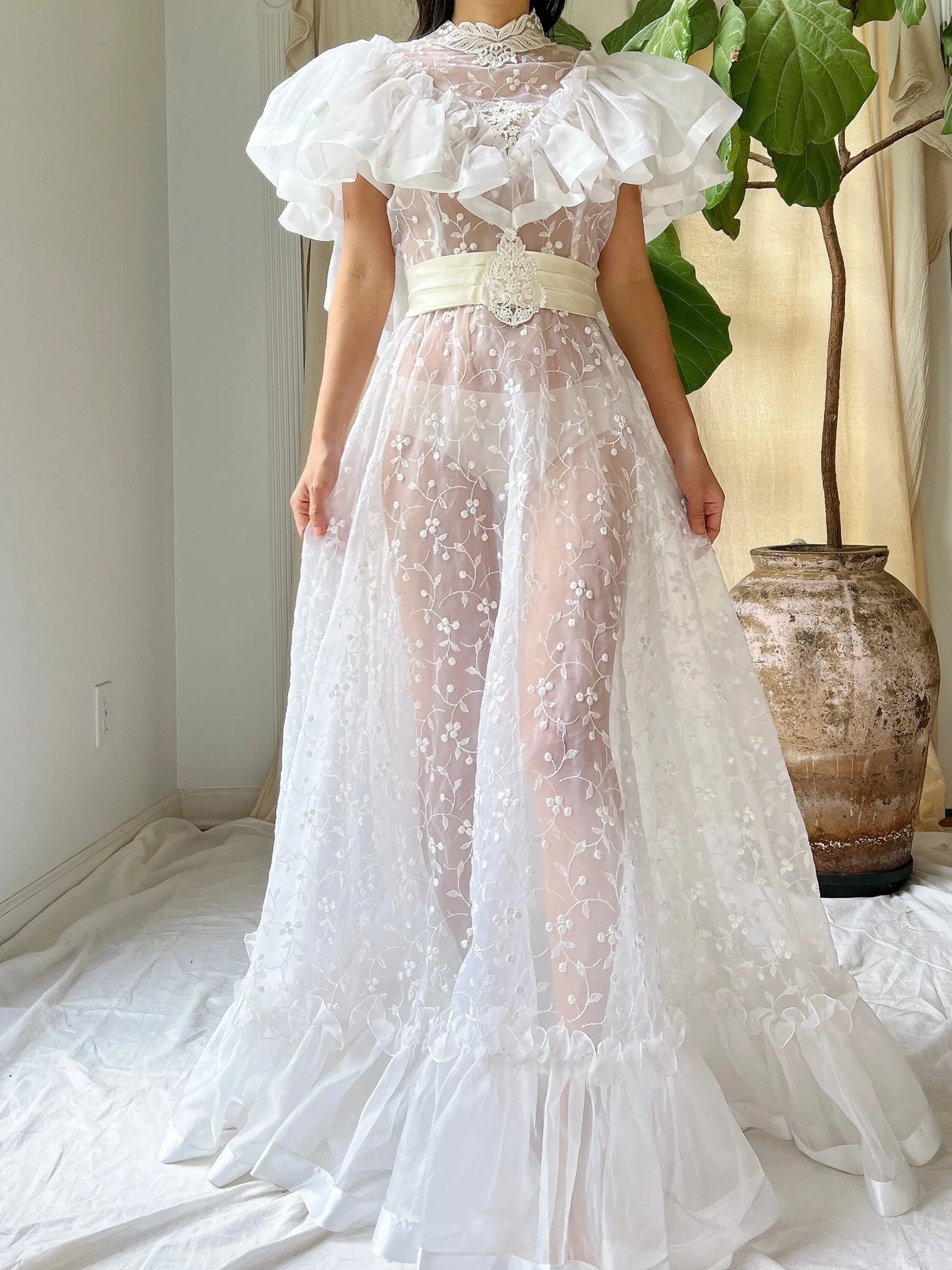 Vintage Ruffle Sheer Embroidered Dress - S