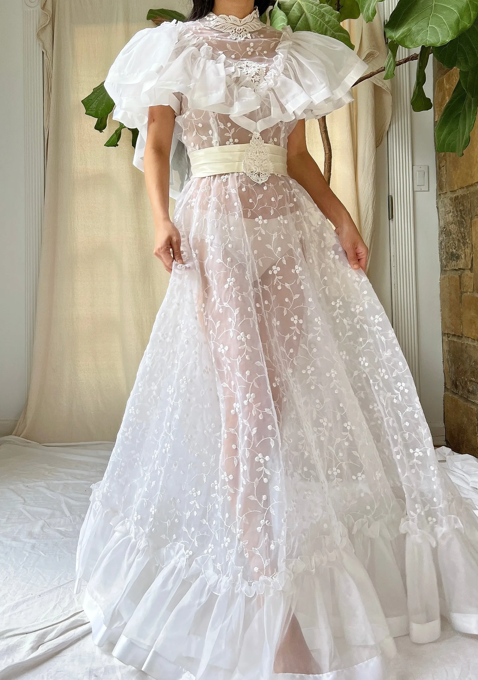Vintage Ruffle Sheer Embroidered Dress - S