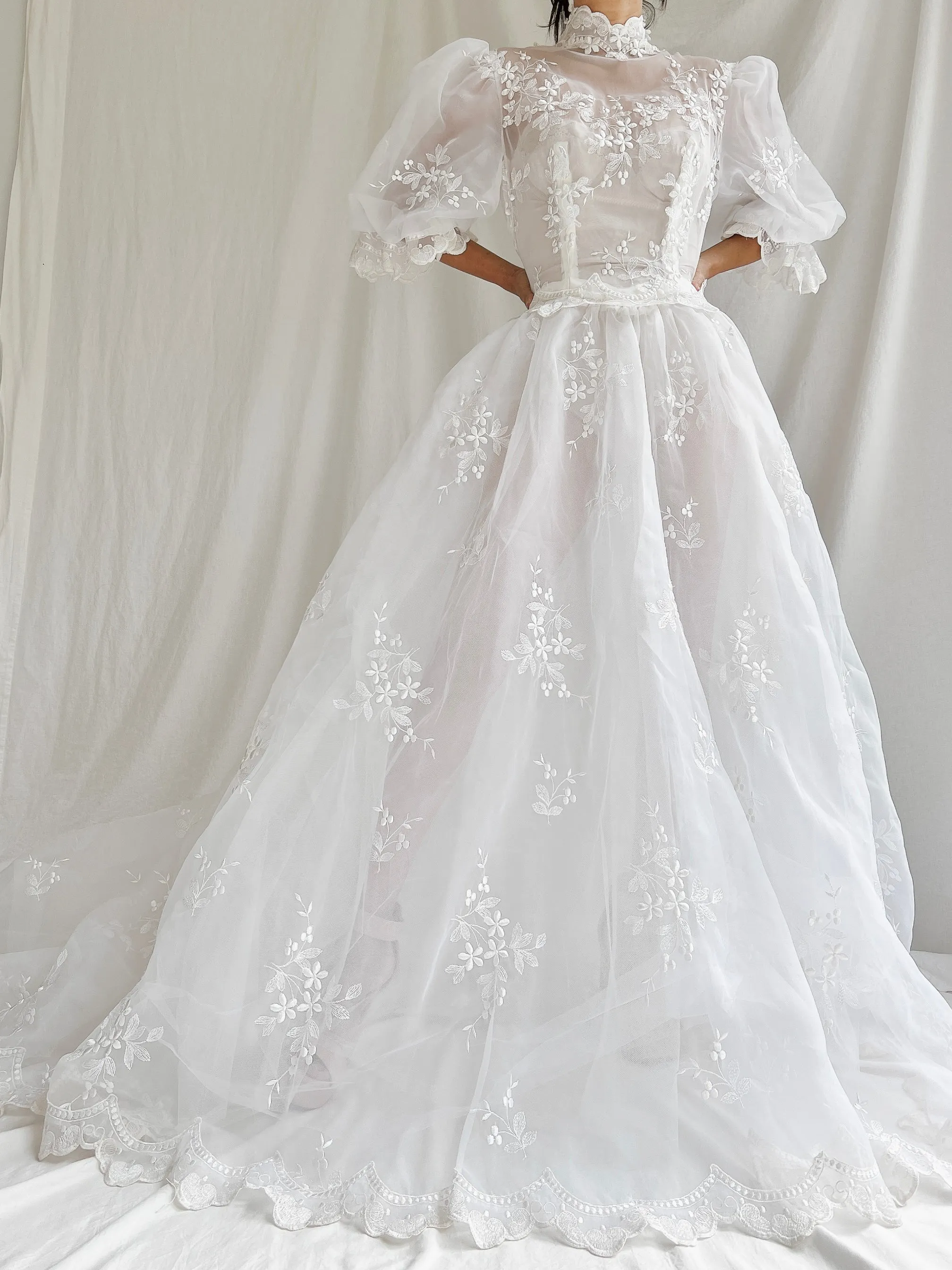 Vintage Sheer Puff Sleeves Gown - S