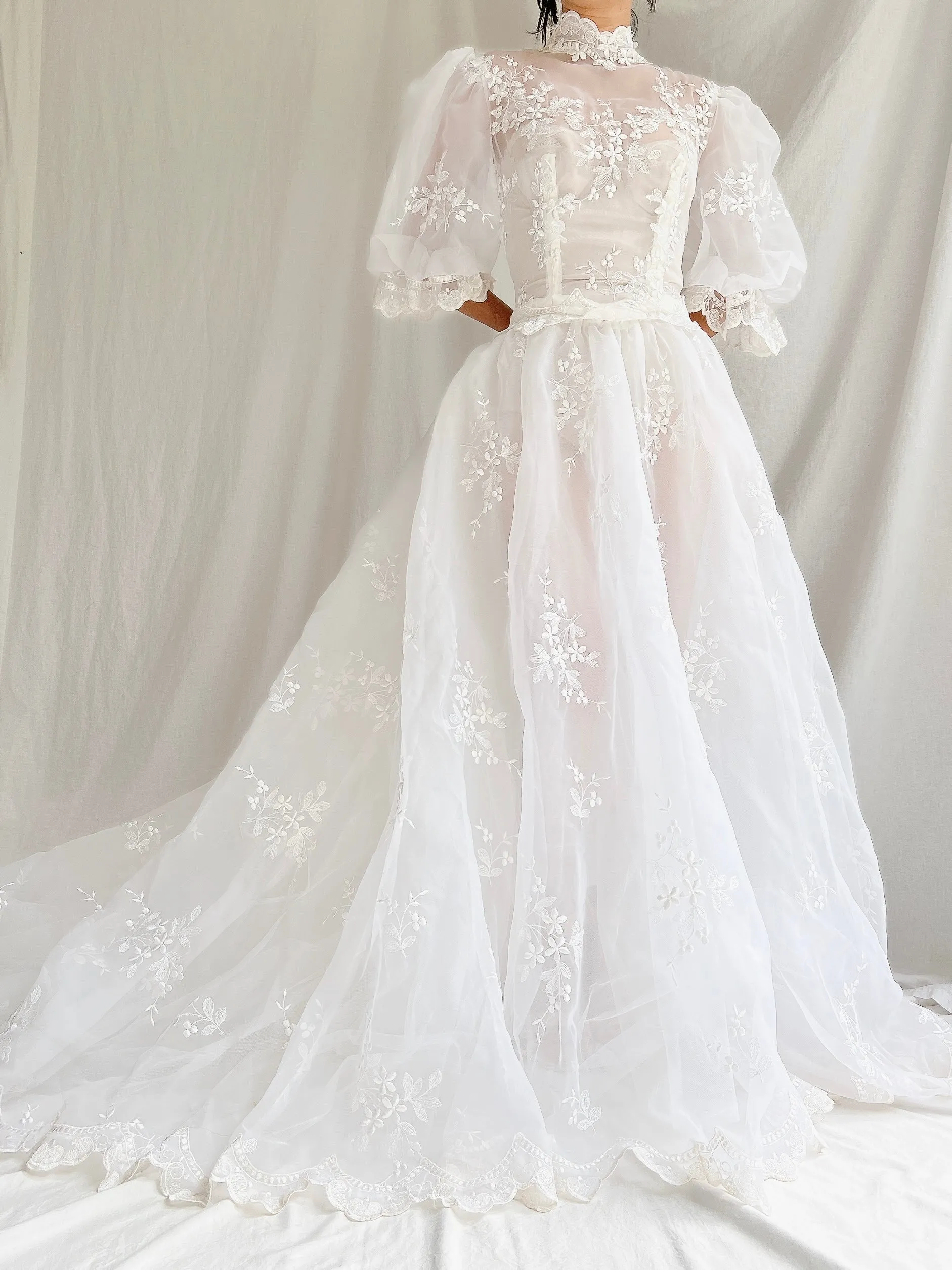 Vintage Sheer Puff Sleeves Gown - S