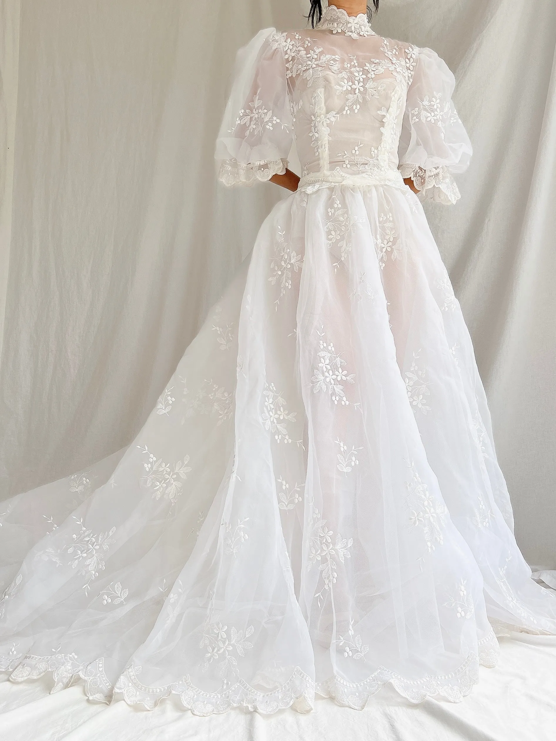 Vintage Sheer Puff Sleeves Gown - S