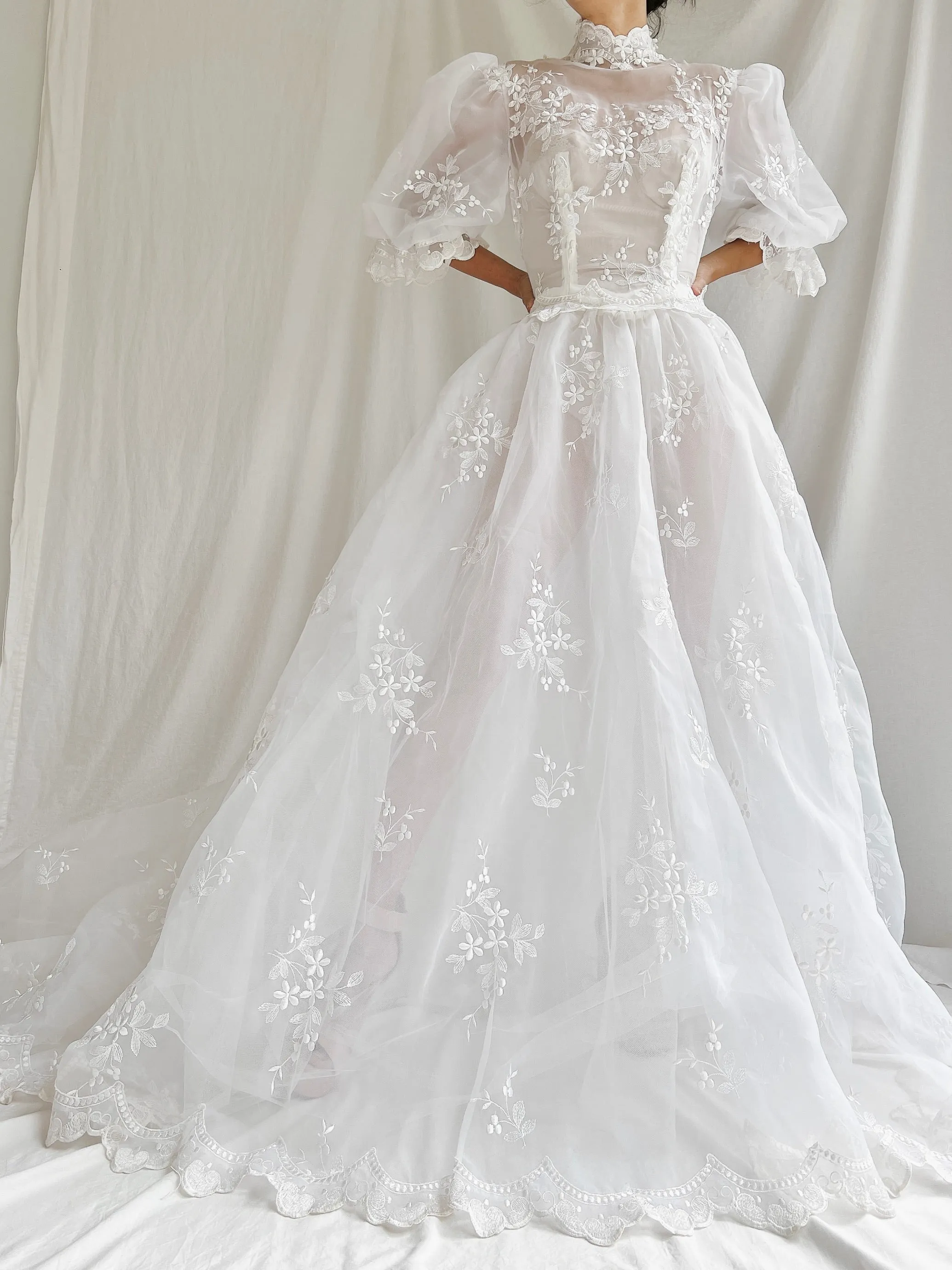 Vintage Sheer Puff Sleeves Gown - S